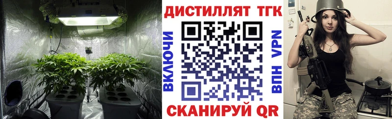 Купить  Туапсе  Дистиллят ТГК THC oil 