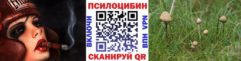 Купить где  Туапсе  Галлюциногенные грибы мухоморы 